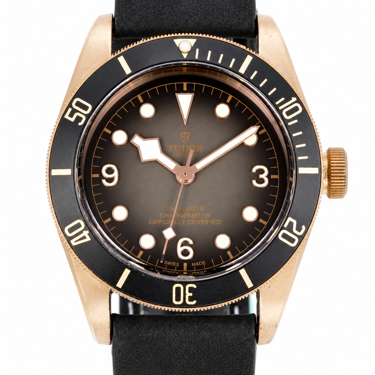 Tudor Black Bay 39mm Precision Automatic Steel Watch